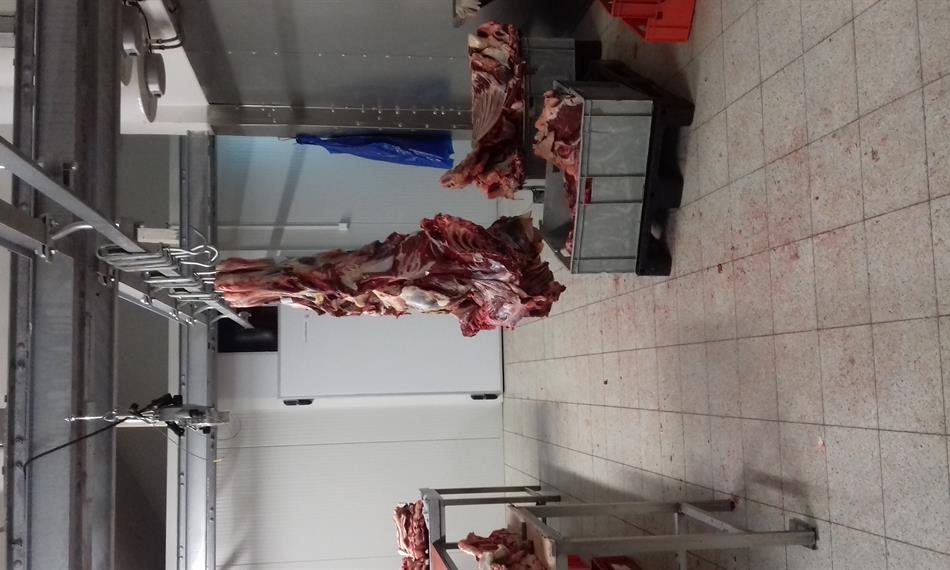 2019-6-17-10278.3. (2).jpg